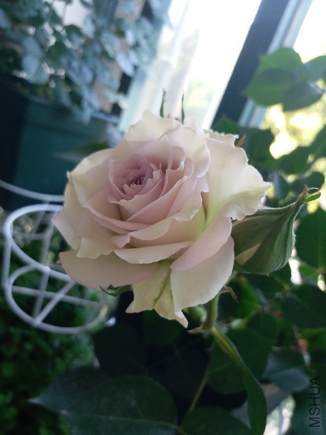 20170419_075739.jpg