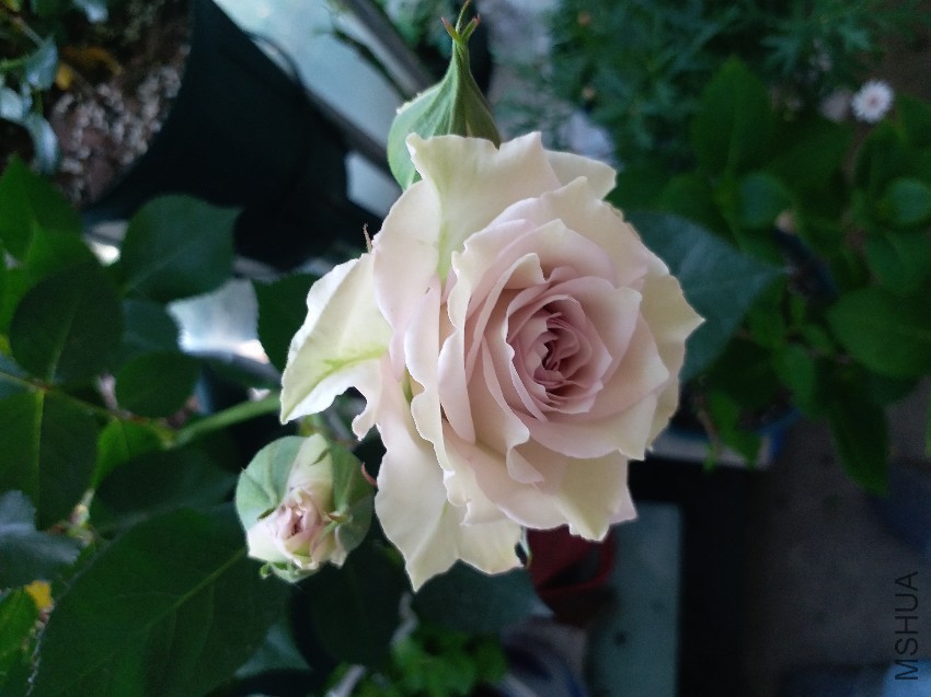 20170419_075732.jpg