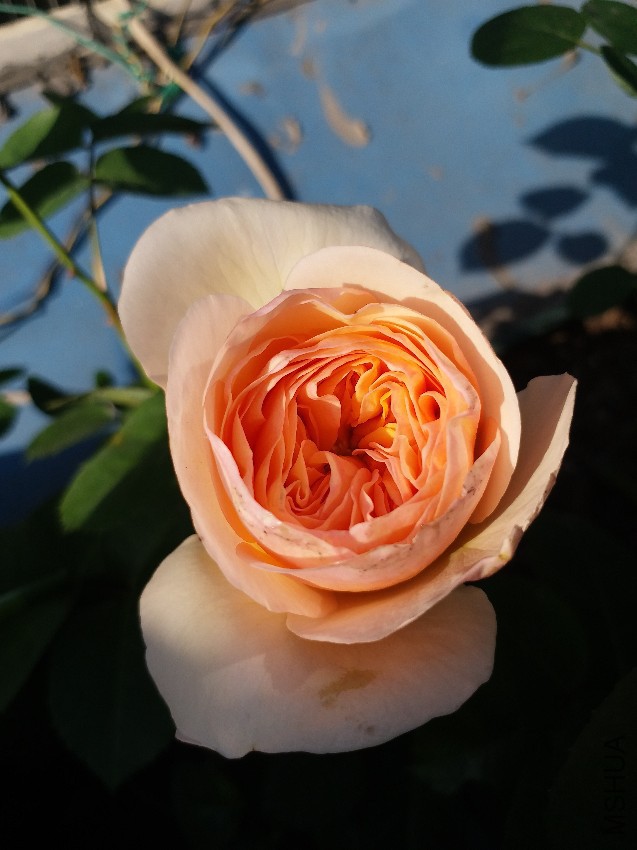 20170419_075836.jpg