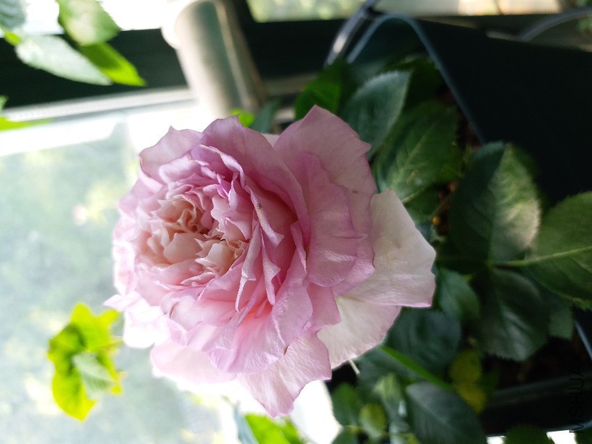 20170422_093634.jpg