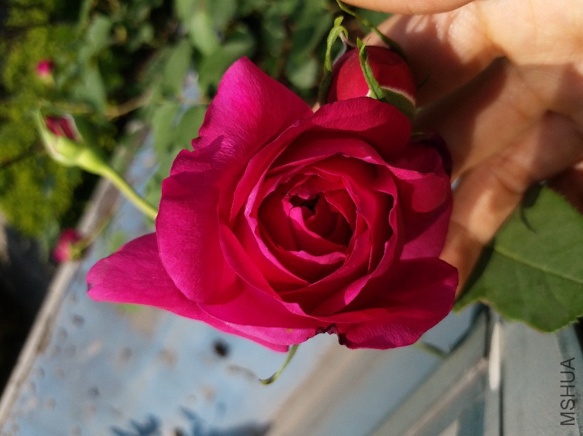 20170422_093725.jpg