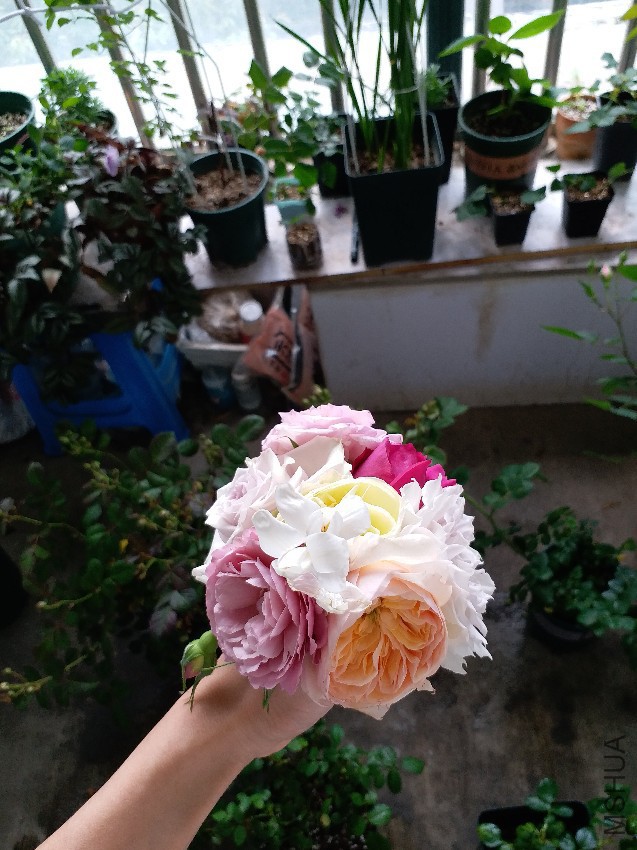 20170422_112001.jpg