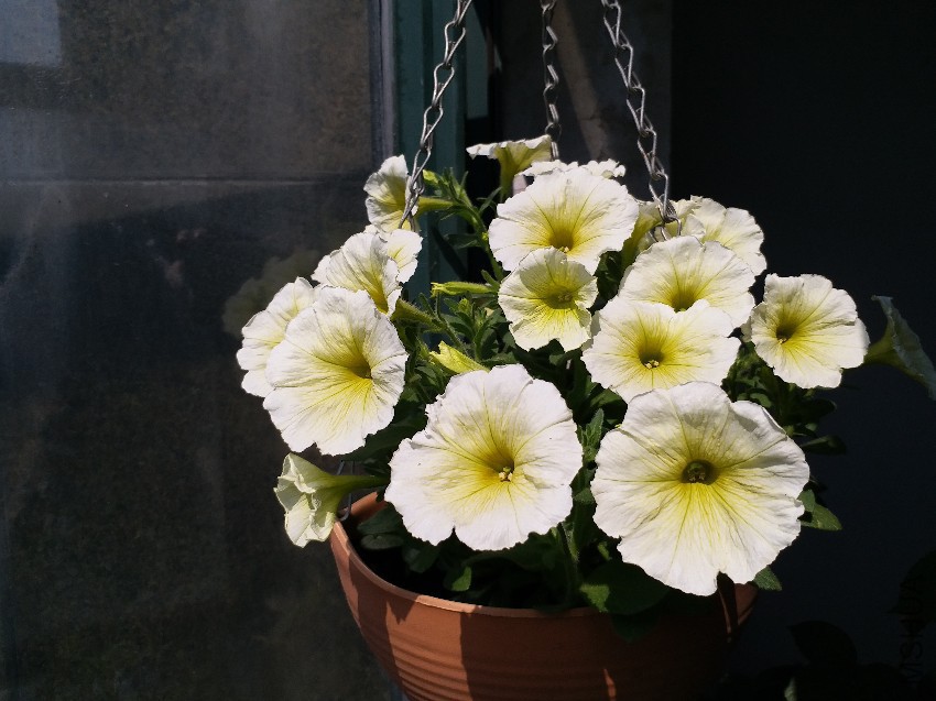 20170422_093913.jpg