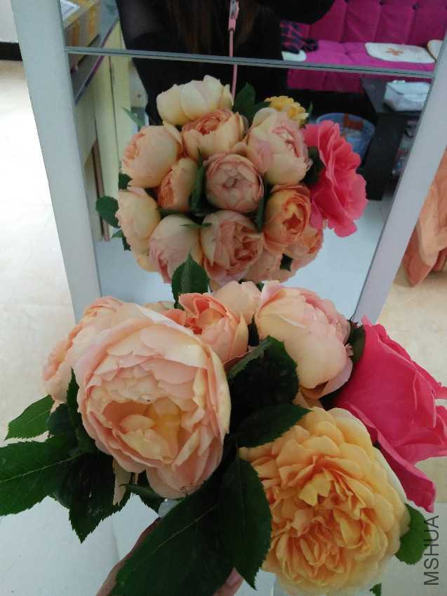 IMG20170423142534.jpg