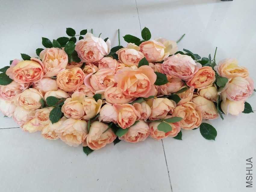 IMG20170423121026.jpg