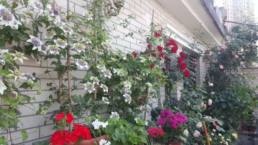 webwxgetmsgimg (4).jpg