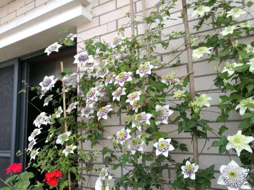 webwxgetmsgimg (3).jpg