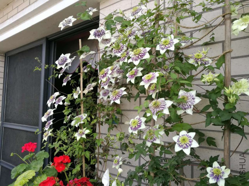 webwxgetmsgimg (4).jpg