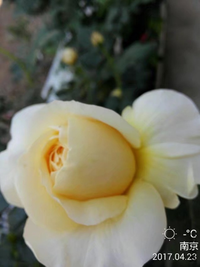 psb (10).jpg