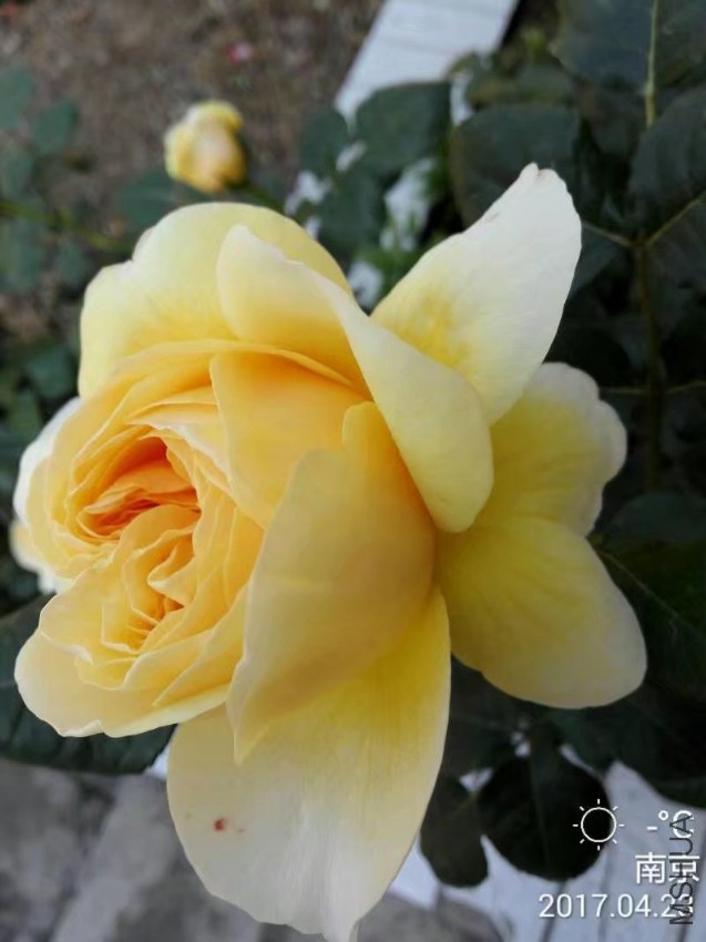 psb (13).jpg