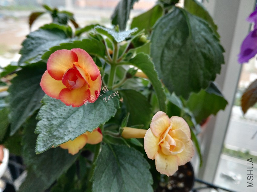 ��Ƭ 166_����.jpg