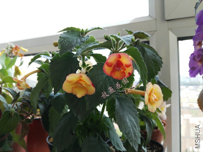 ��Ƭ 186_����.jpg