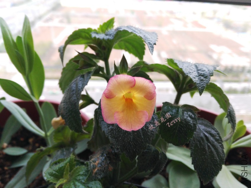 ��Ƭ 625_����.jpg