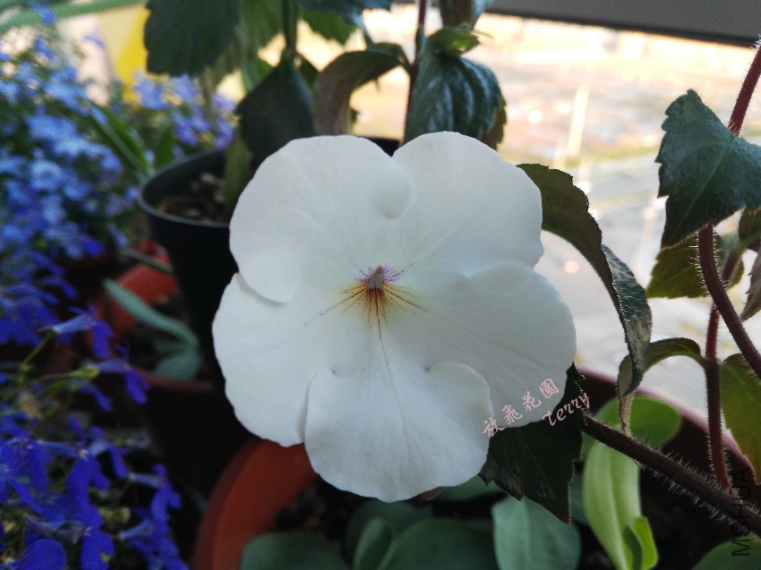 ��Ƭ 565_����.jpg