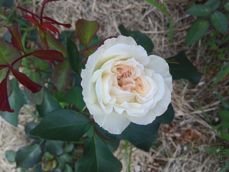 03