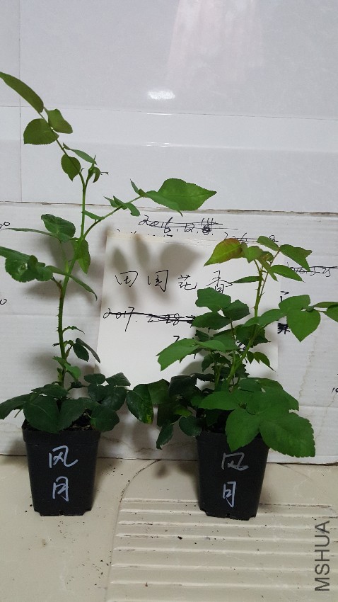 20170424_221542.jpg