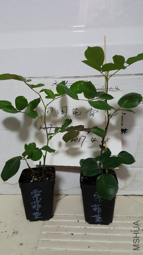 20170424_223444.jpg