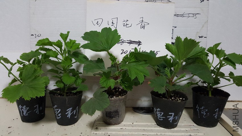 20170424_230351.jpg