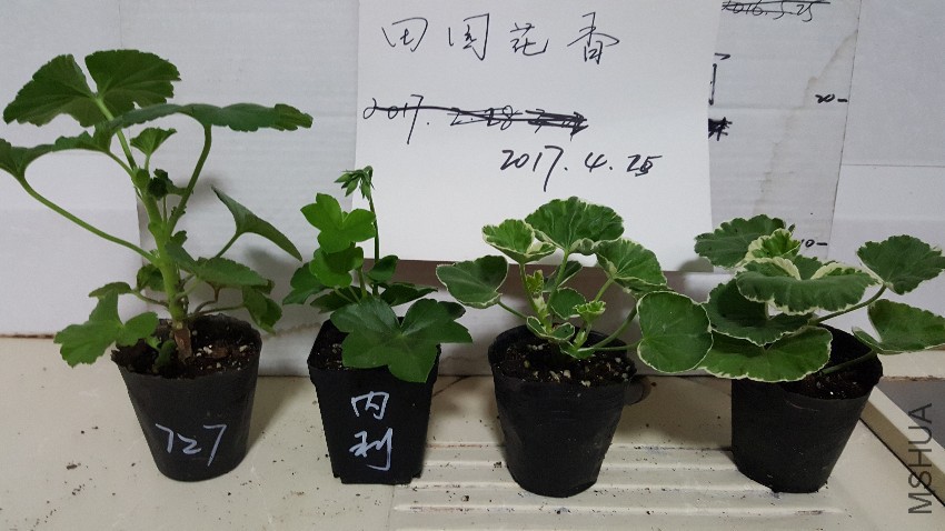 20170424_230503.jpg