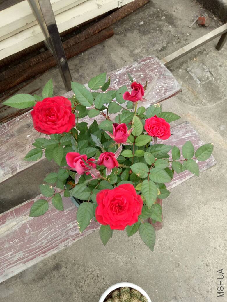083141zxyaa7kxwbzannlj.jpg