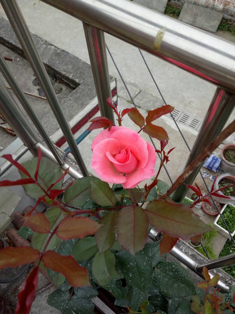 083144lgcyk0zydk11551i.jpg
