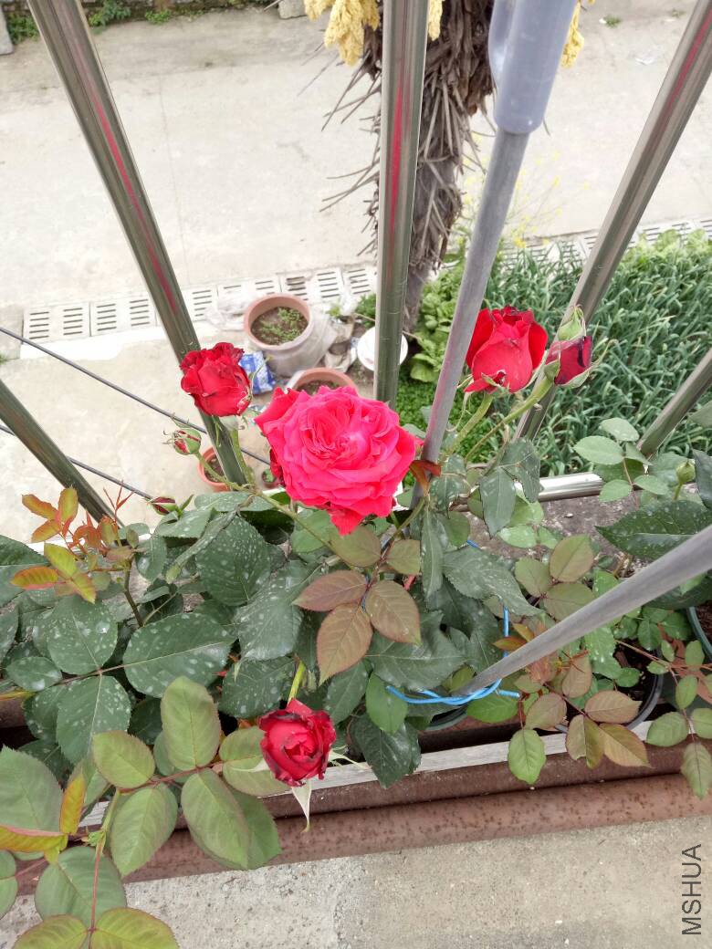 083145kzwnjf1iaifzbsqb.jpg