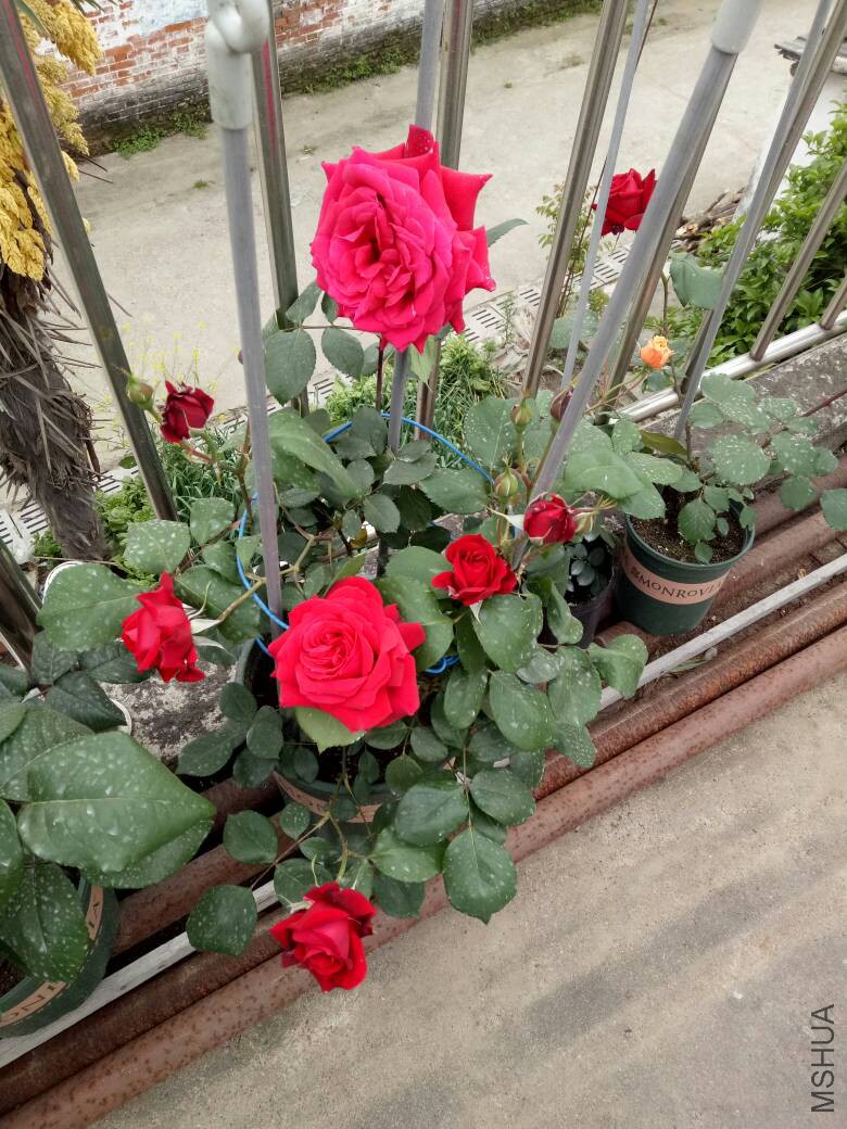 083149a3y3mh8tl1ym943y.jpg