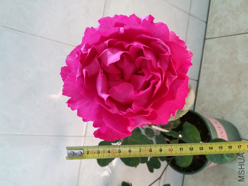 20170423.jpg