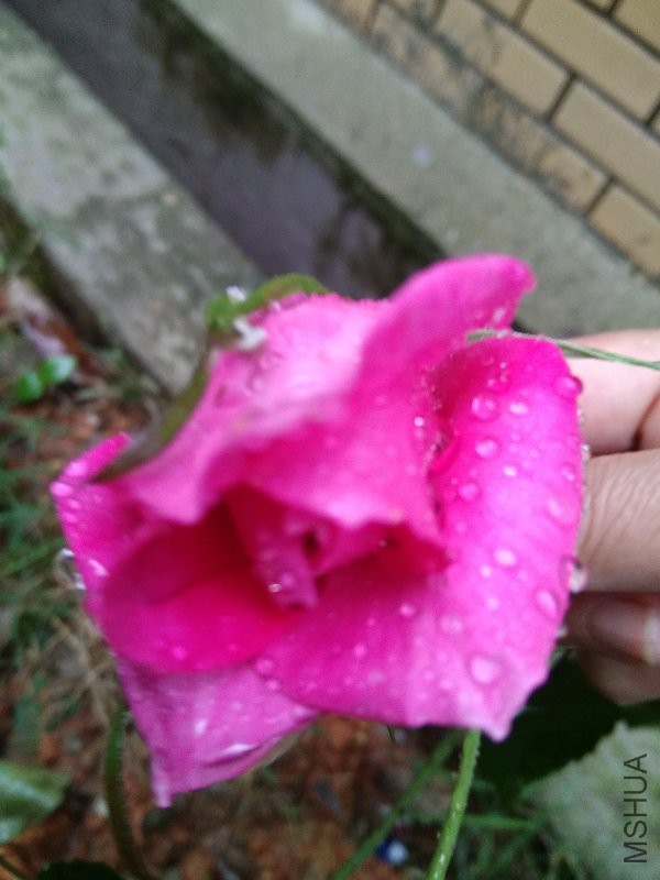 ����  ��