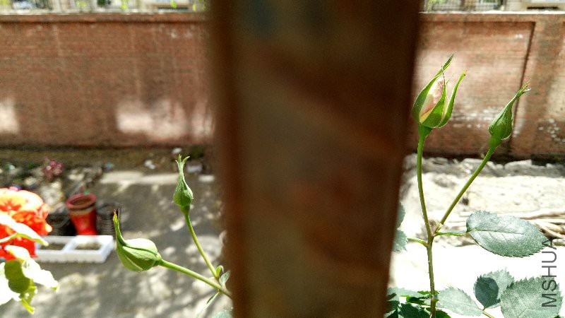 IMG20170425123946.jpg