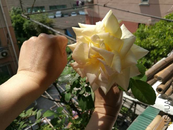143350a0xnpi0rn7awrdr0.jpg