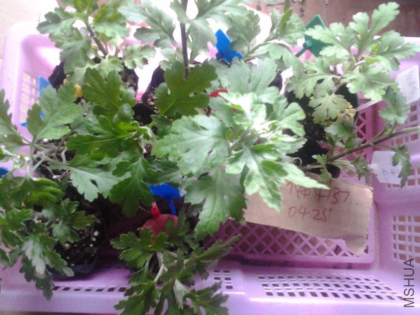 20170425_151717.jpg