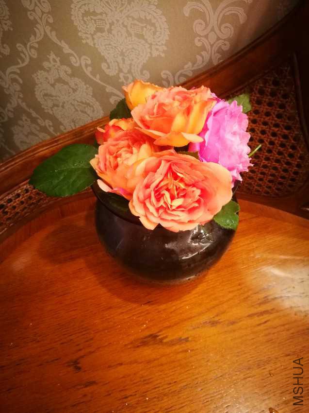 IMG_20170425_195415.jpg