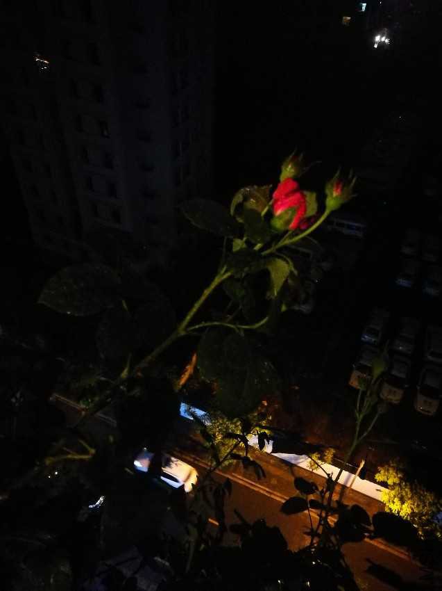 IMG_20170425_192128.jpg