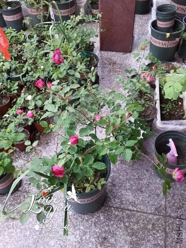 QQͼƬ20170426083959.jpg