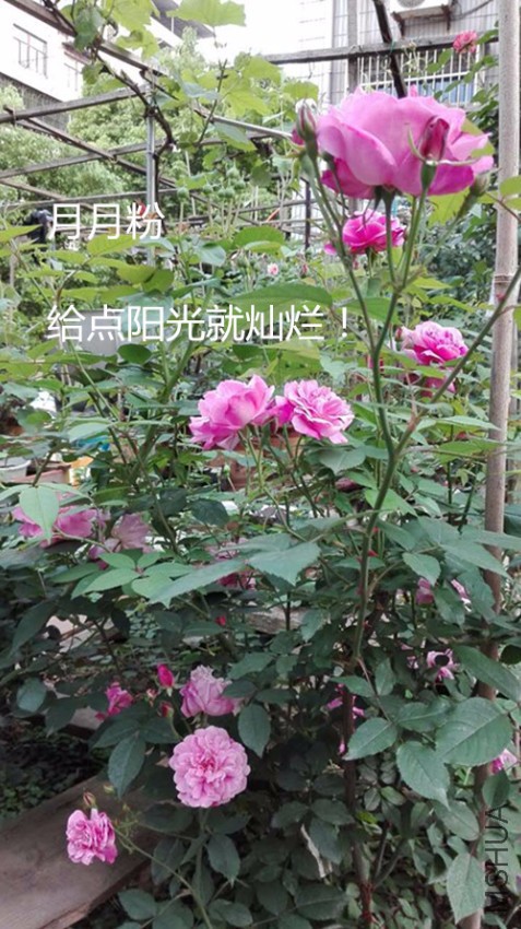 ���·�4.24Ⱥ��.jpg