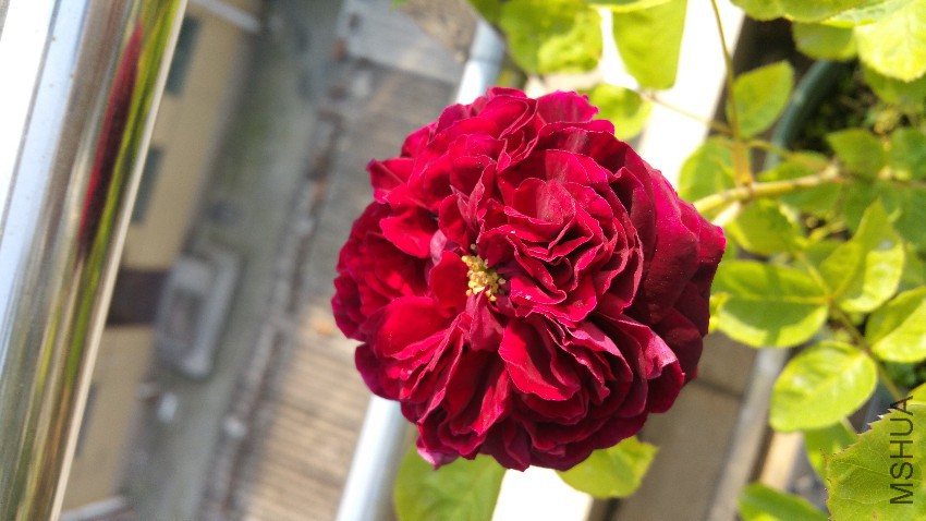 20160430_160548.jpg