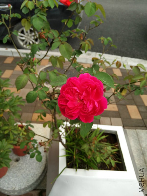 QQ图片20170421143046.jpg