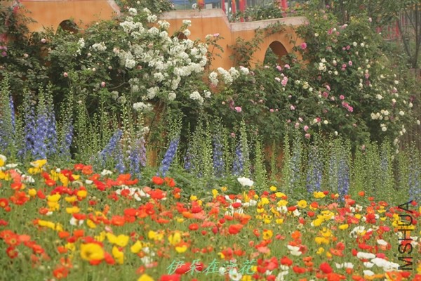 IMG_0932 - ����.jpg