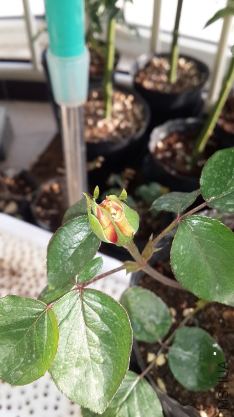 20170422_172135.jpg