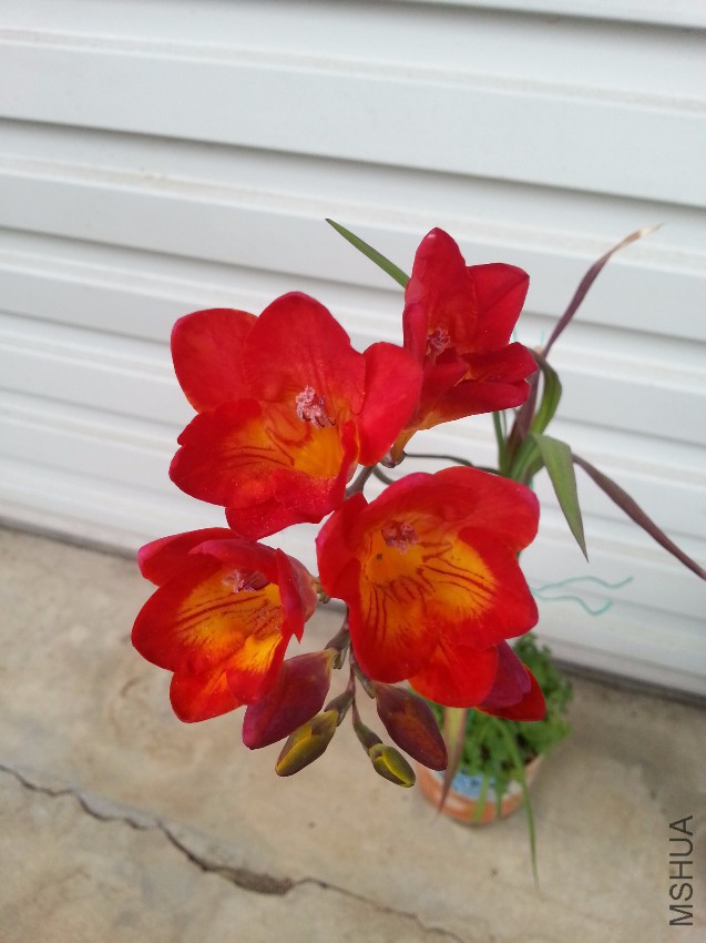 20170401_163647.jpg