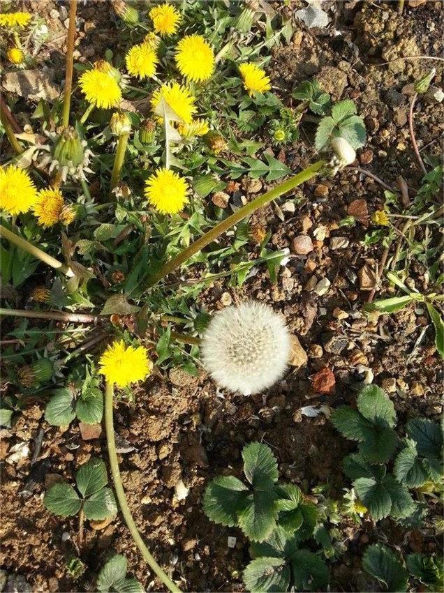 20170307_084007.jpg