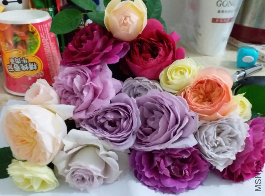 QQ��ͼ20170426221507.jpg
