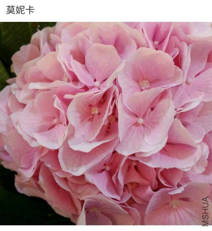074027ofrrcwpccdkepkff.jpg