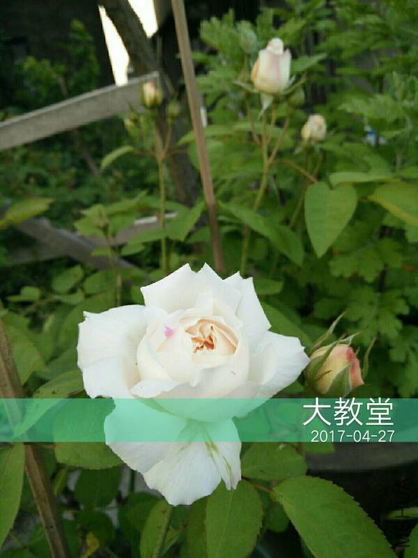 120117rgpi1bgqwlgige4i.jpg