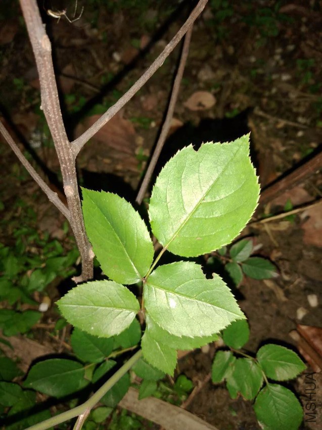 ΢��ͼƬ_20170428202813.jpg