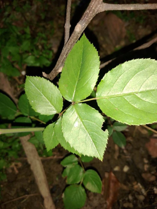 ΢��ͼƬ_20170428202754.jpg