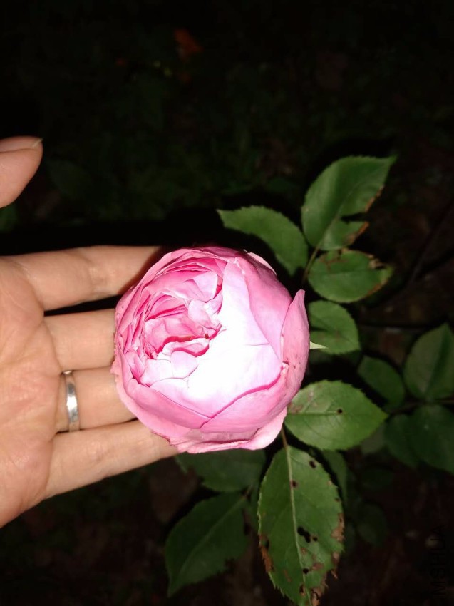 ΢��ͼƬ_20170428202803.jpg