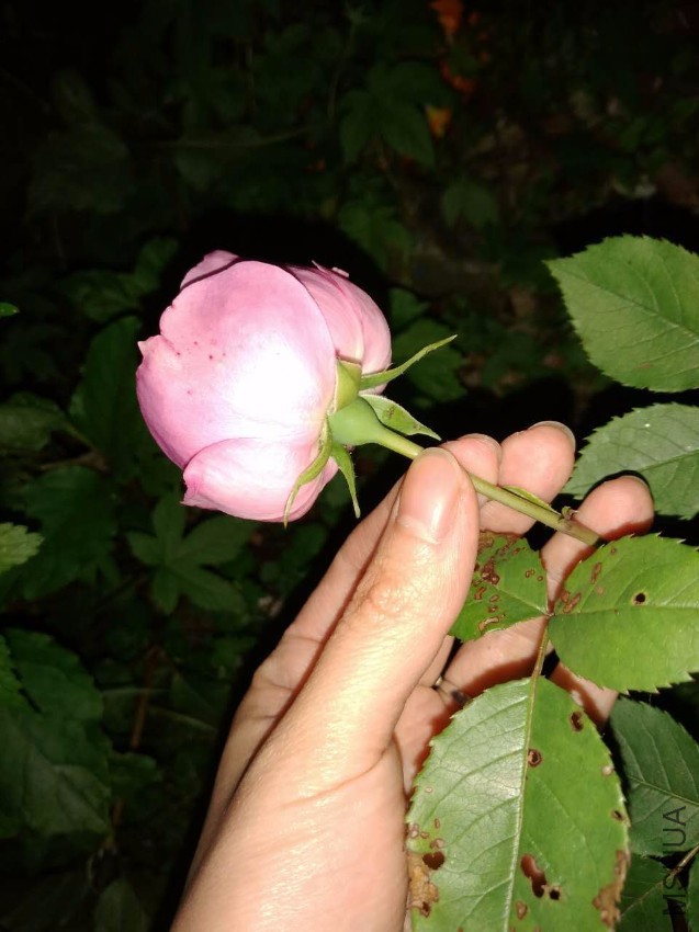 ΢��ͼƬ_20170428202818.jpg