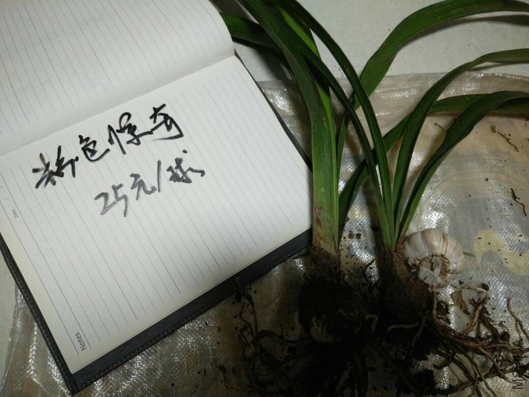 215115yheaz2h003d70cjy.jpg